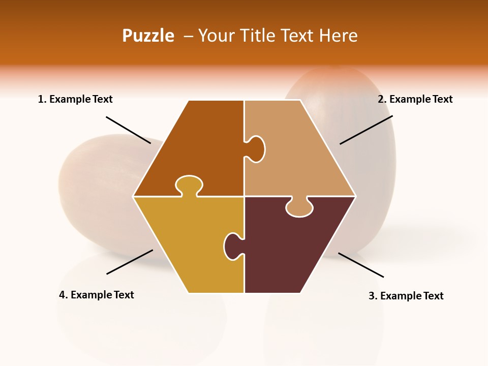 Shell September Nut PowerPoint Template