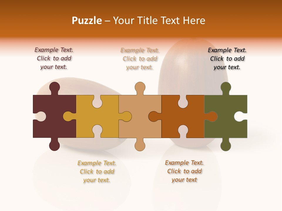 Shell September Nut PowerPoint Template