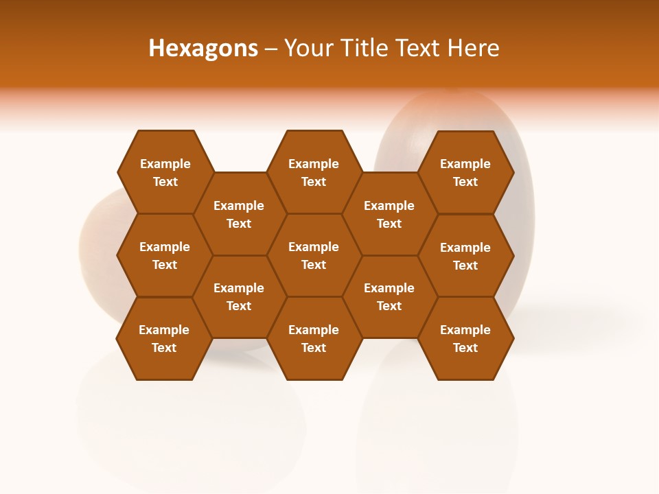 Shell September Nut PowerPoint Template