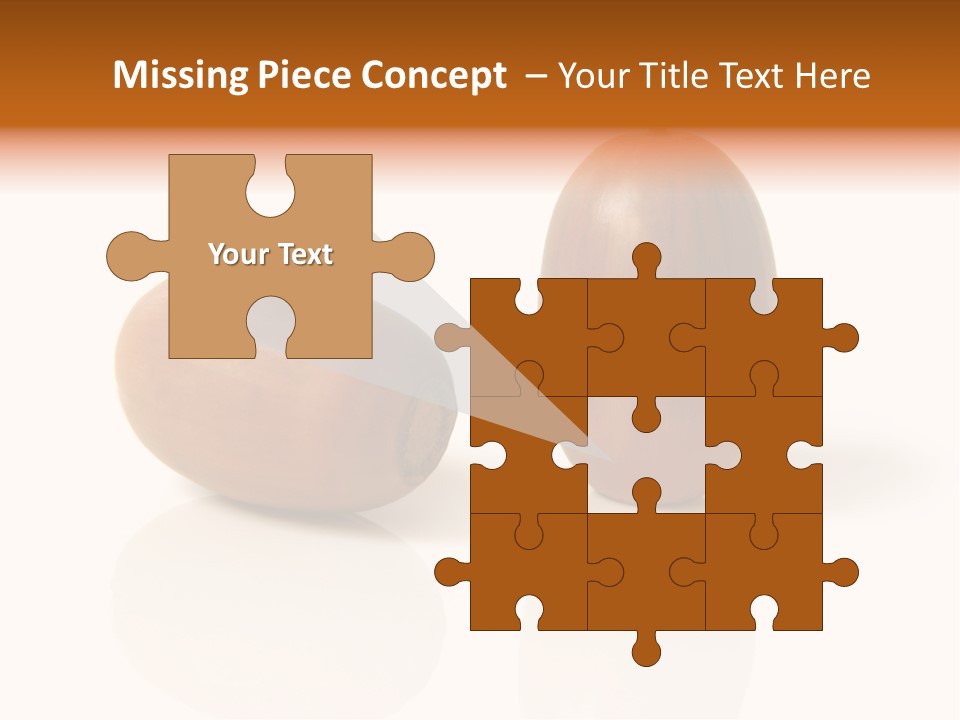 Shell September Nut PowerPoint Template