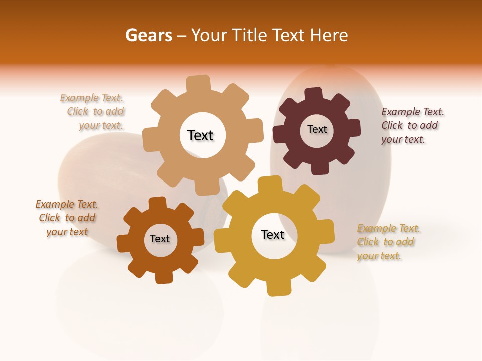 Shell September Nut PowerPoint Template