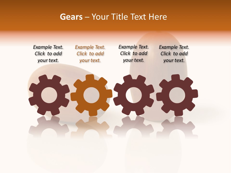 Shell September Nut PowerPoint Template