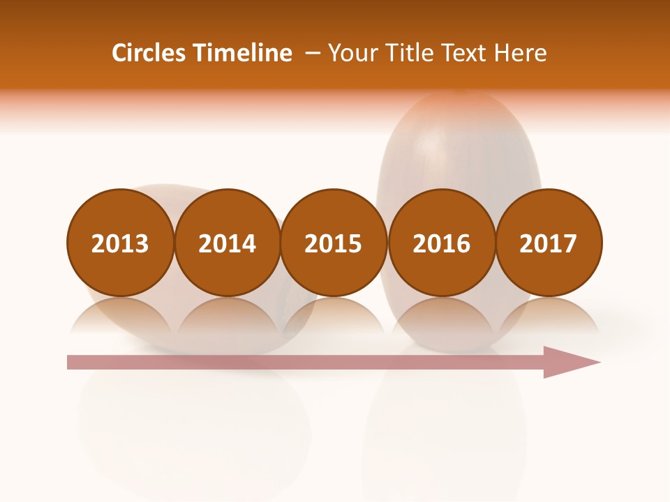 Shell September Nut PowerPoint Template