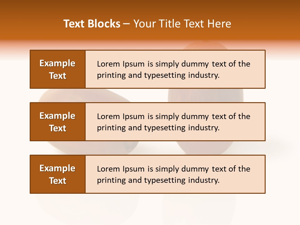 Shell September Nut PowerPoint Template