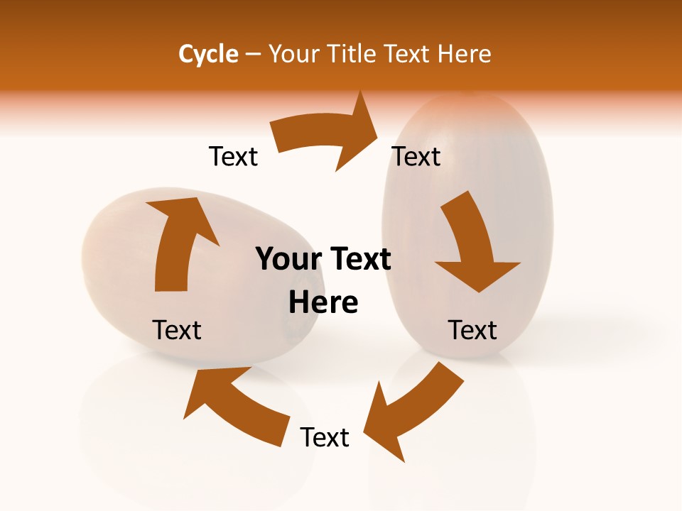Shell September Nut PowerPoint Template