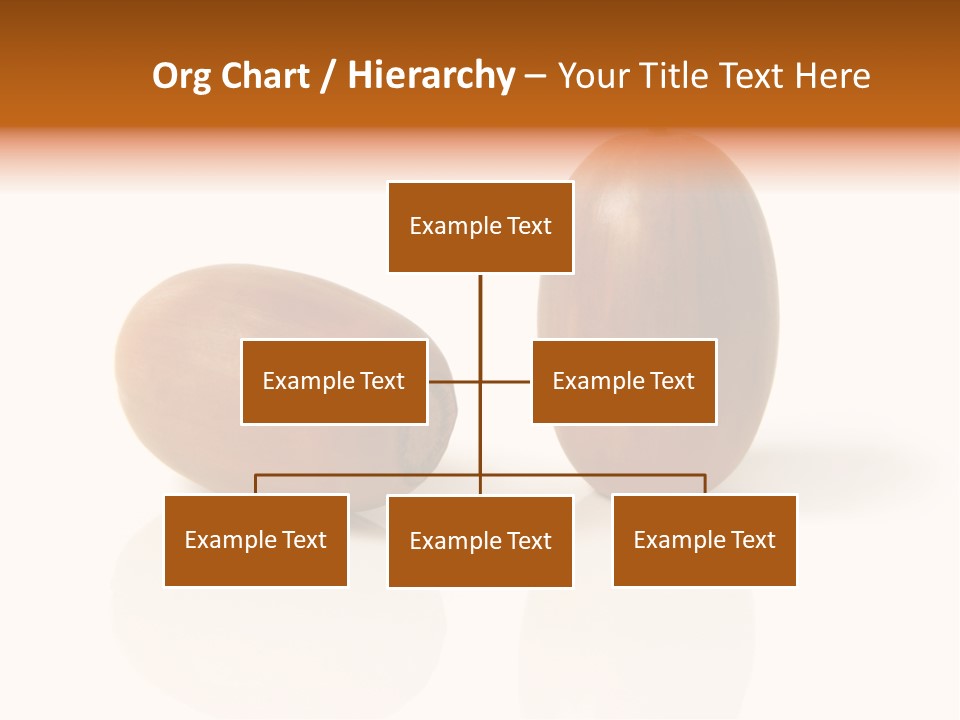 Shell September Nut PowerPoint Template