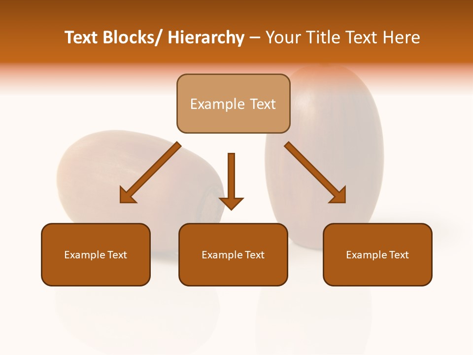 Shell September Nut PowerPoint Template