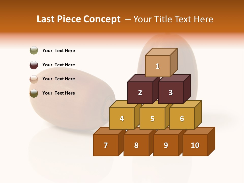 Shell September Nut PowerPoint Template