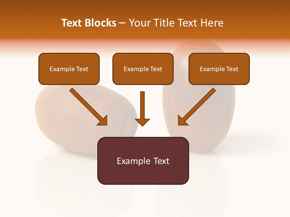 Shell September Nut PowerPoint Template