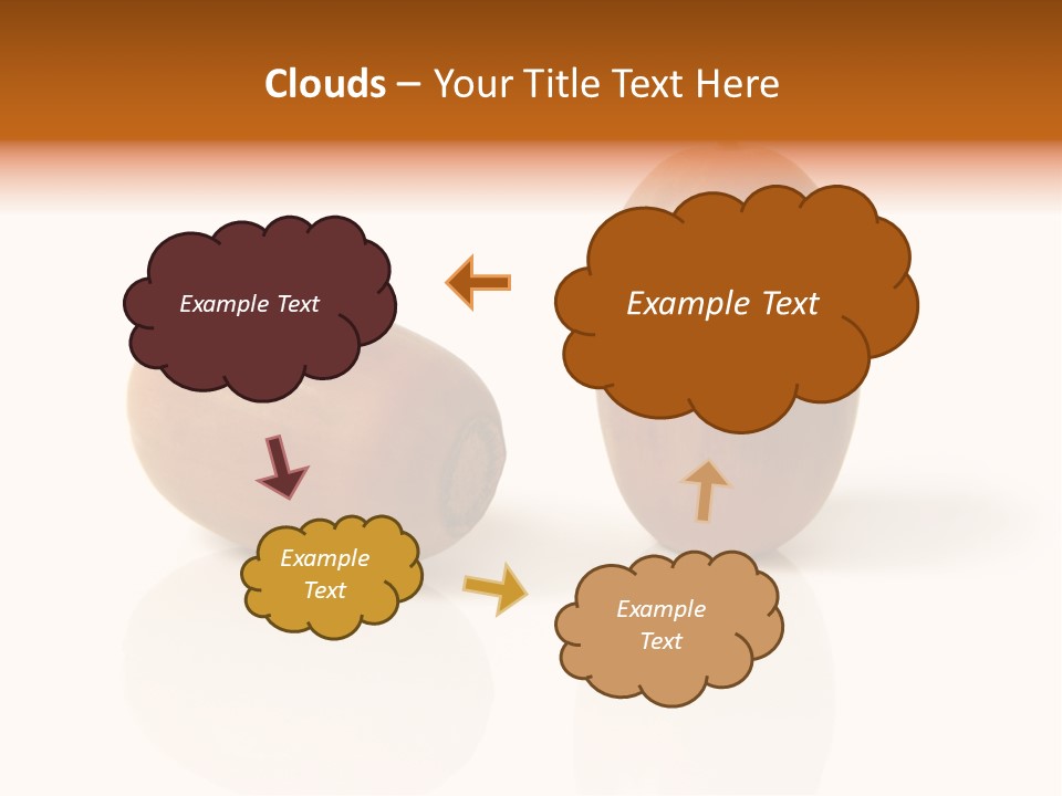 Shell September Nut PowerPoint Template