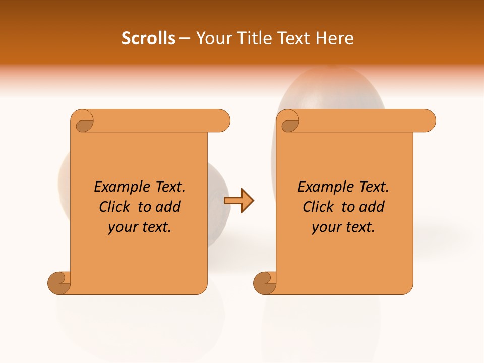 Shell September Nut PowerPoint Template
