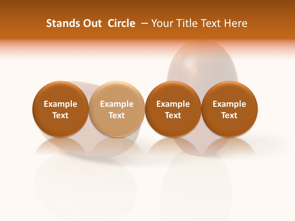 Shell September Nut PowerPoint Template
