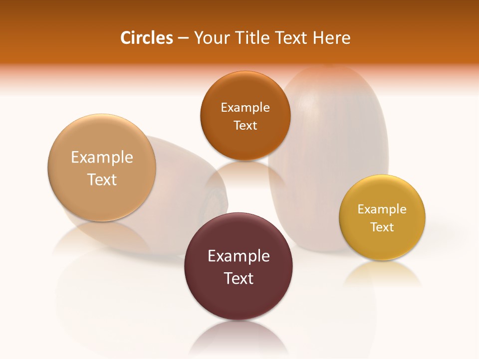 Shell September Nut PowerPoint Template