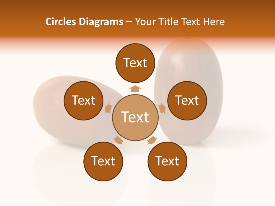 Shell September Nut PowerPoint Template