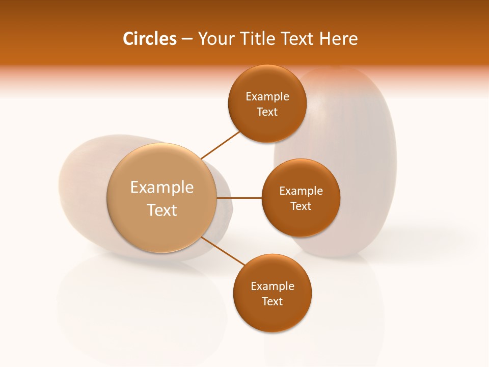 Shell September Nut PowerPoint Template