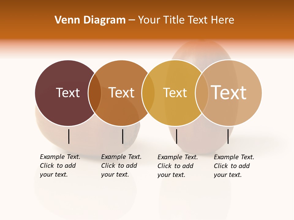 Shell September Nut PowerPoint Template
