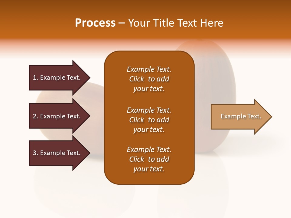 Shell September Nut PowerPoint Template