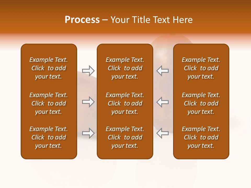 Shell September Nut PowerPoint Template