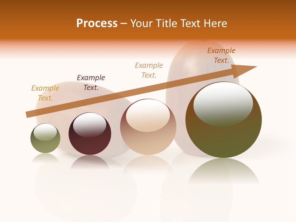 Shell September Nut PowerPoint Template