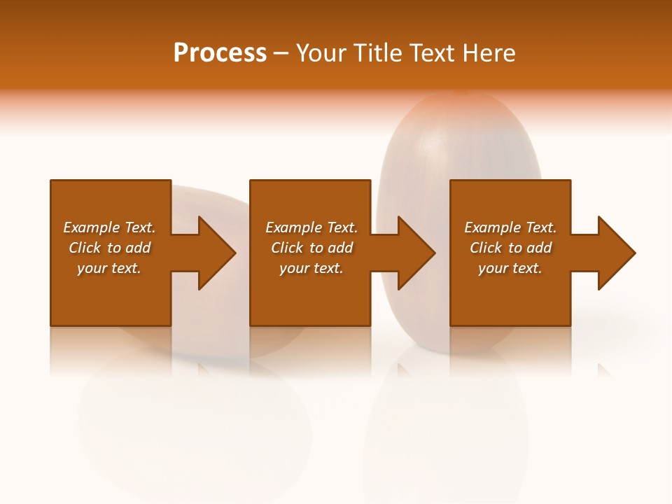 Shell September Nut PowerPoint Template