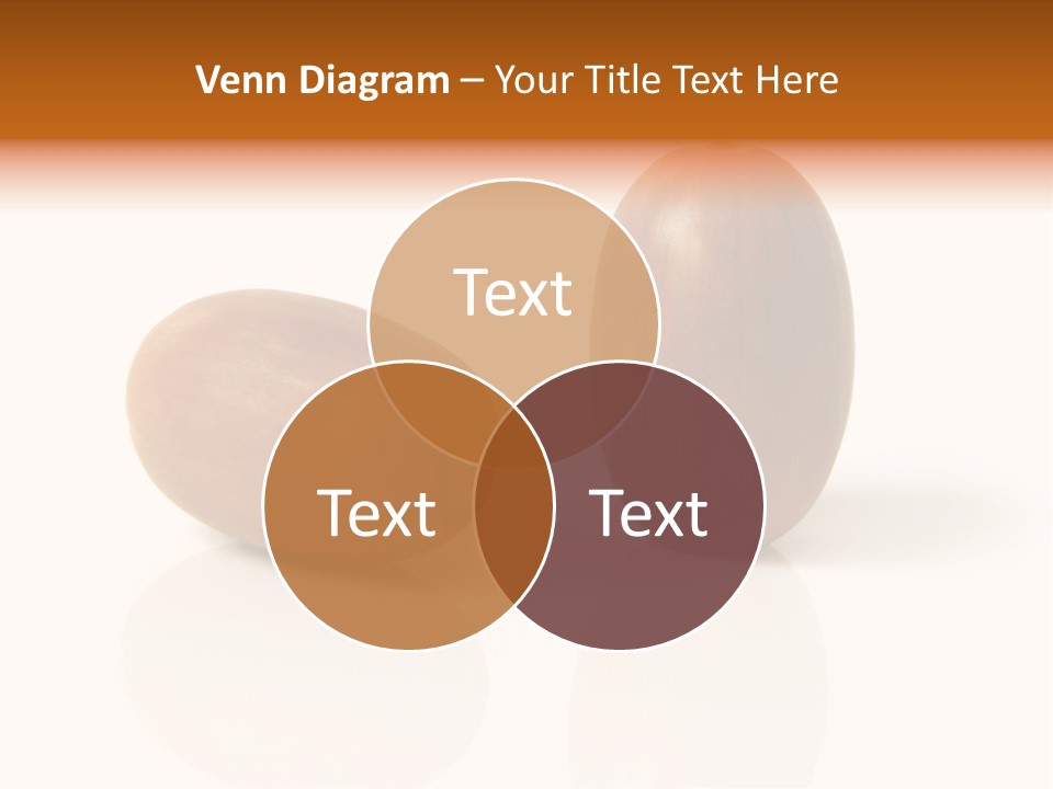 Shell September Nut PowerPoint Template