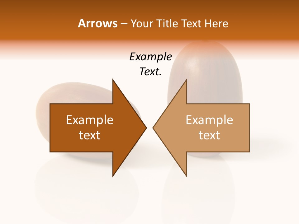 Shell September Nut PowerPoint Template