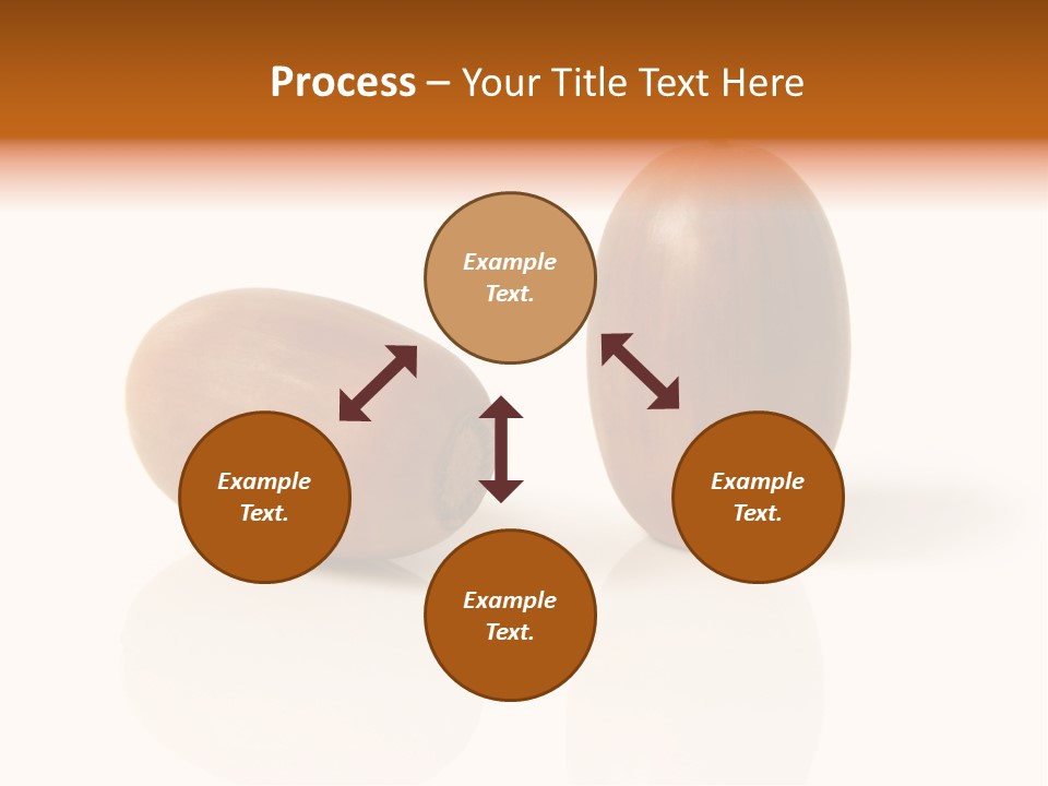 Shell September Nut PowerPoint Template