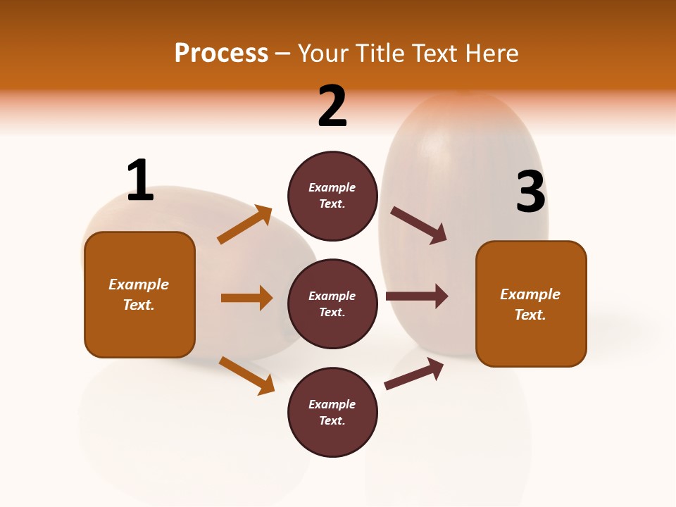Shell September Nut PowerPoint Template