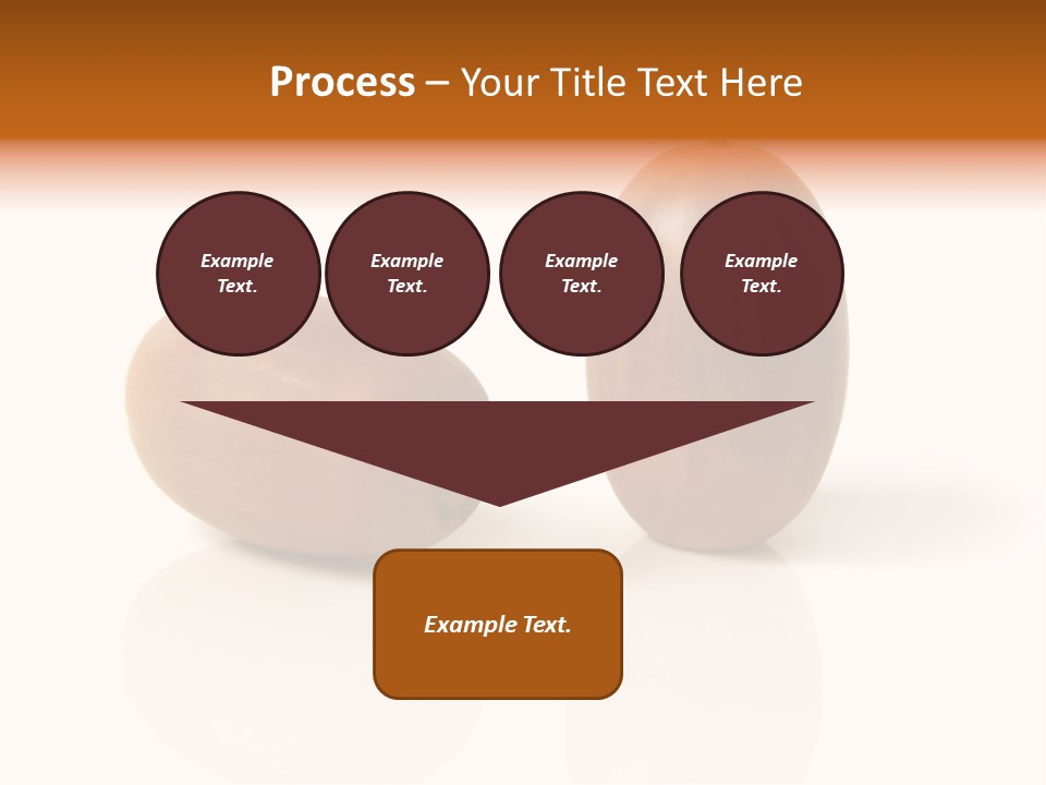 Shell September Nut PowerPoint Template