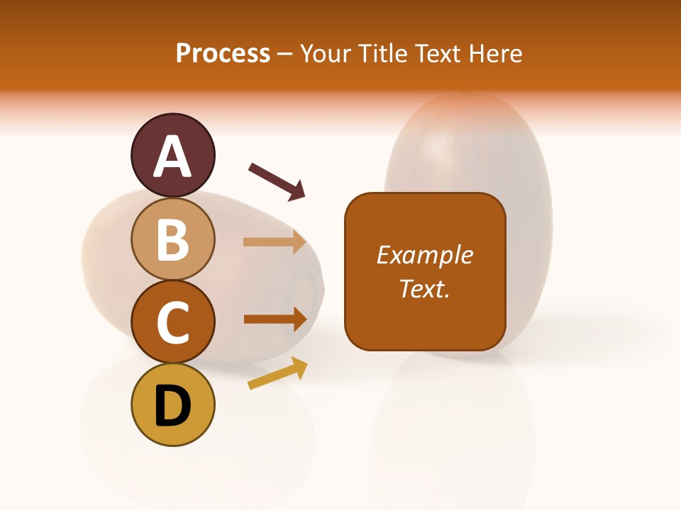 Shell September Nut PowerPoint Template