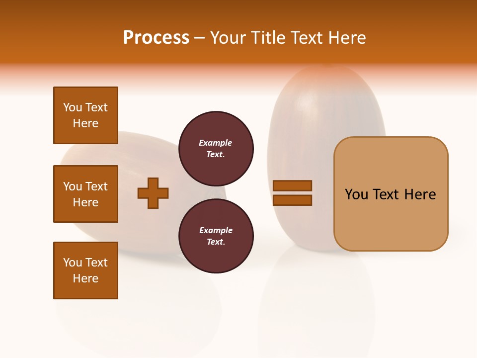 Shell September Nut PowerPoint Template