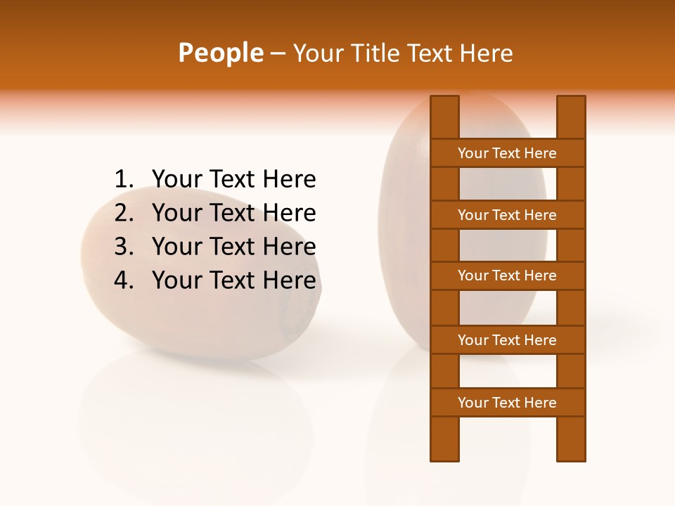Shell September Nut PowerPoint Template