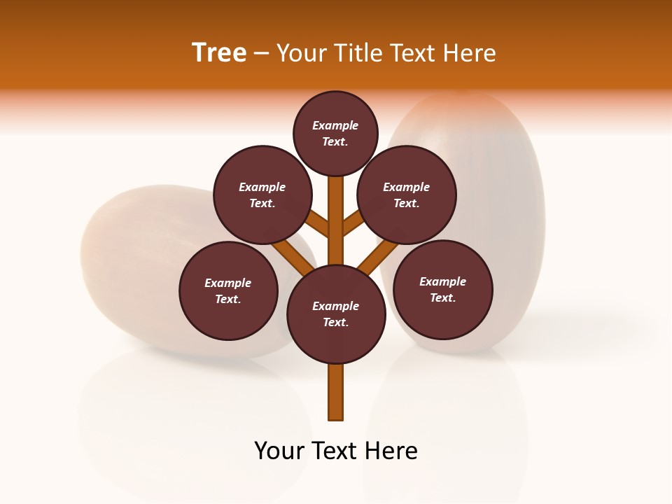 Shell September Nut PowerPoint Template