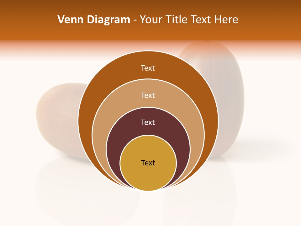 Shell September Nut PowerPoint Template