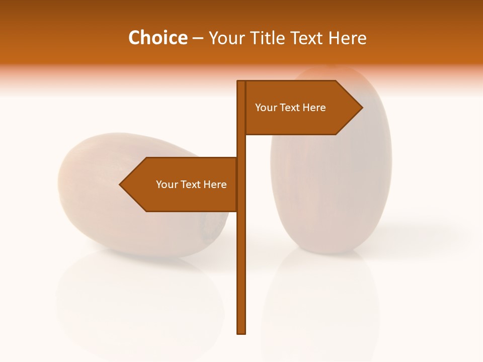 Shell September Nut PowerPoint Template