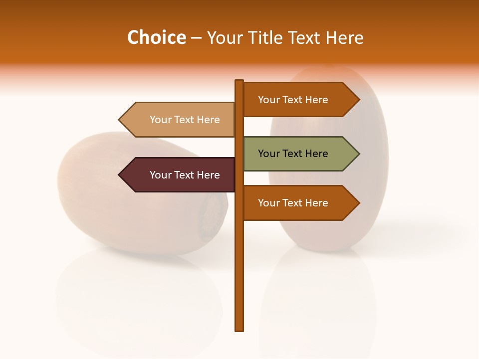 Shell September Nut PowerPoint Template