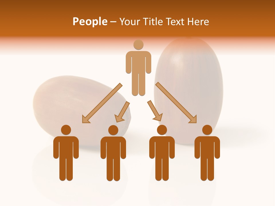 Shell September Nut PowerPoint Template