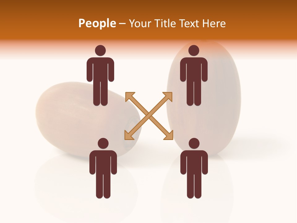 Shell September Nut PowerPoint Template