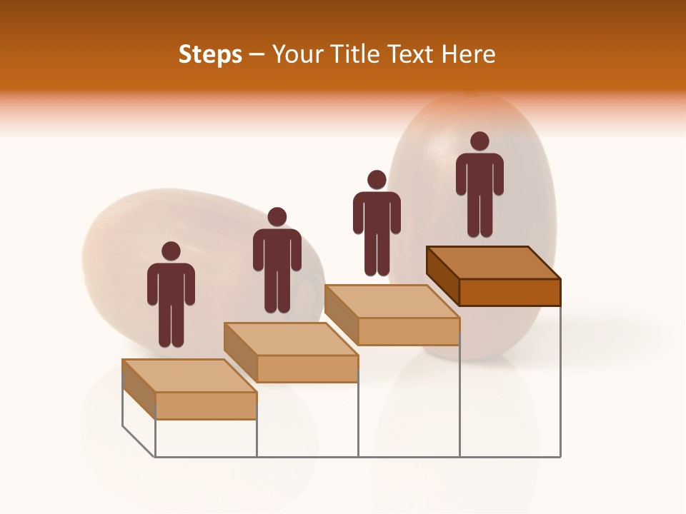 Shell September Nut PowerPoint Template