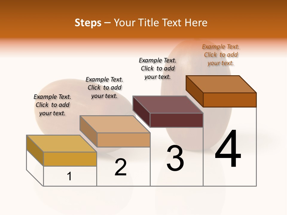 Shell September Nut PowerPoint Template
