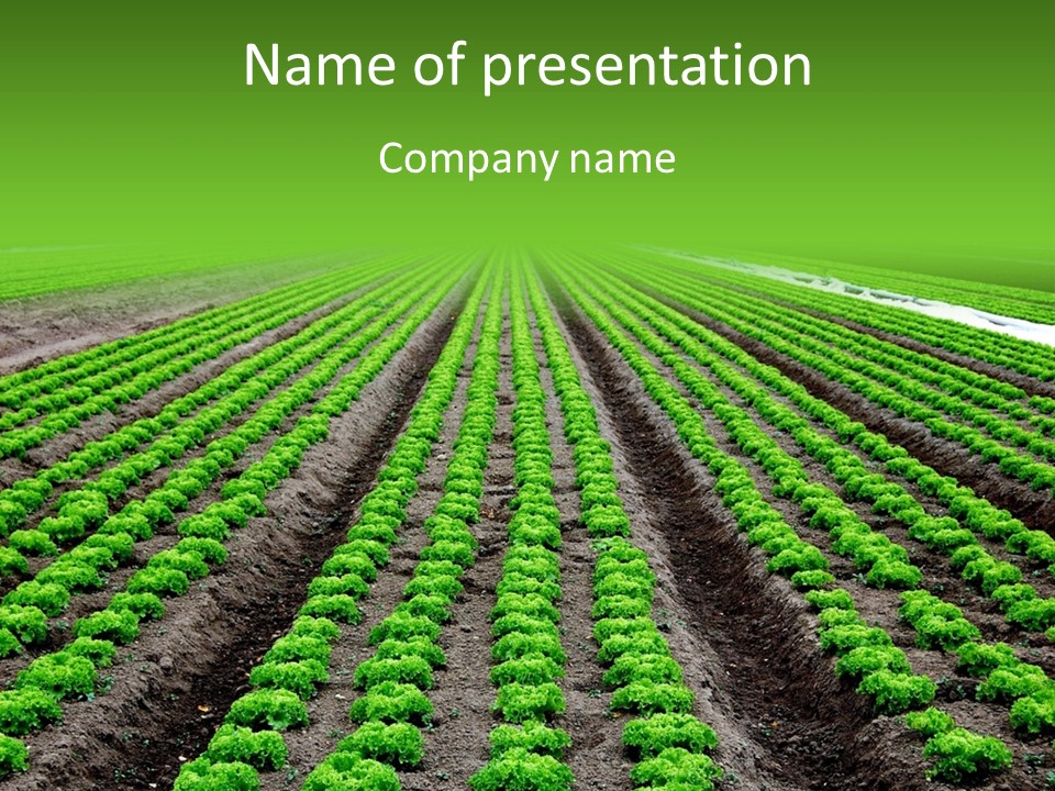 Natural Farming Field PowerPoint Template