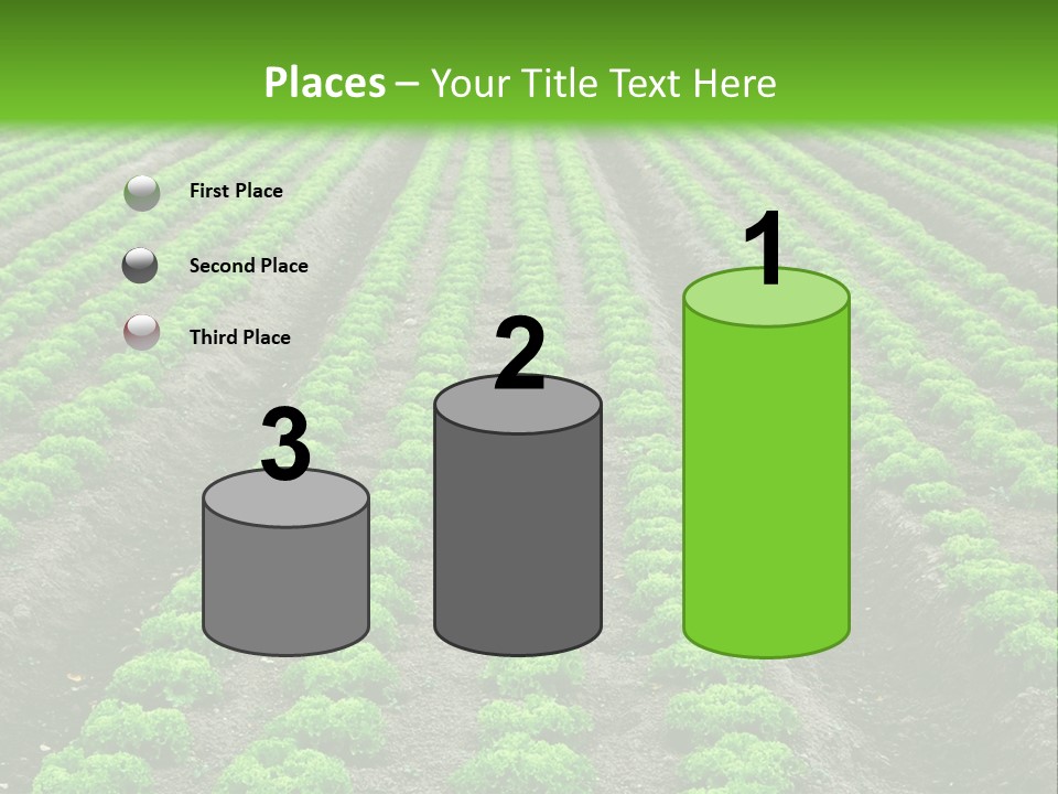 Natural Farming Field PowerPoint Template