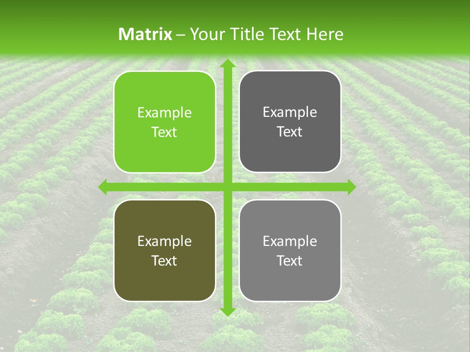 Natural Farming Field PowerPoint Template