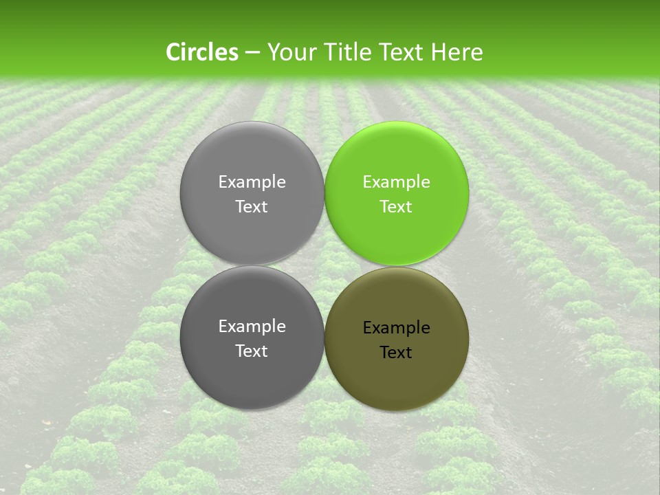 Natural Farming Field PowerPoint Template