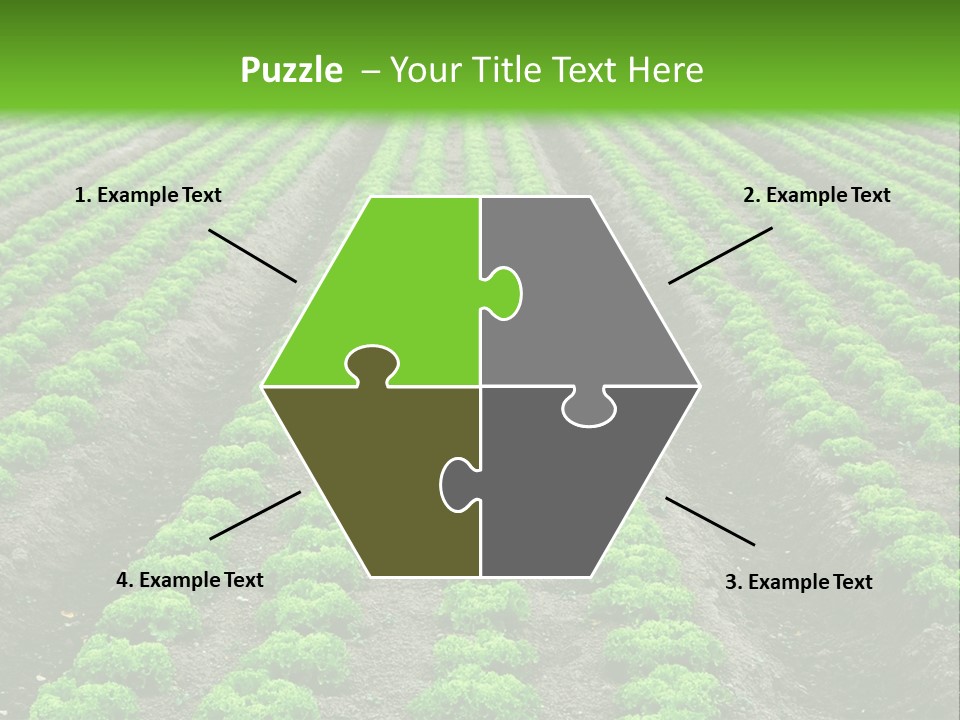 Natural Farming Field PowerPoint Template