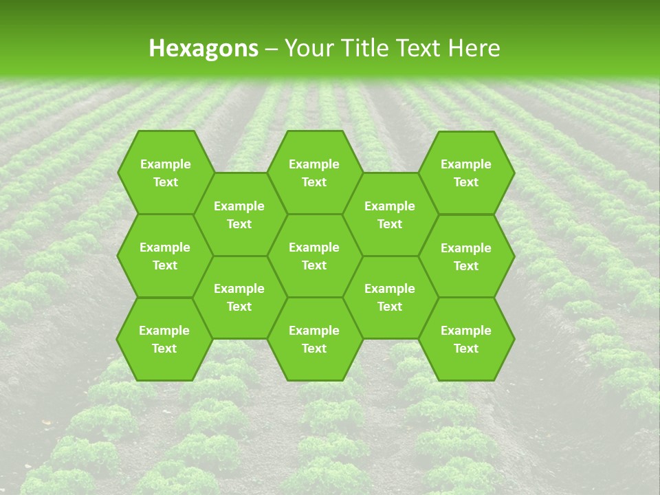 Natural Farming Field PowerPoint Template