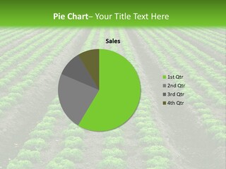 Natural Farming Field PowerPoint Template