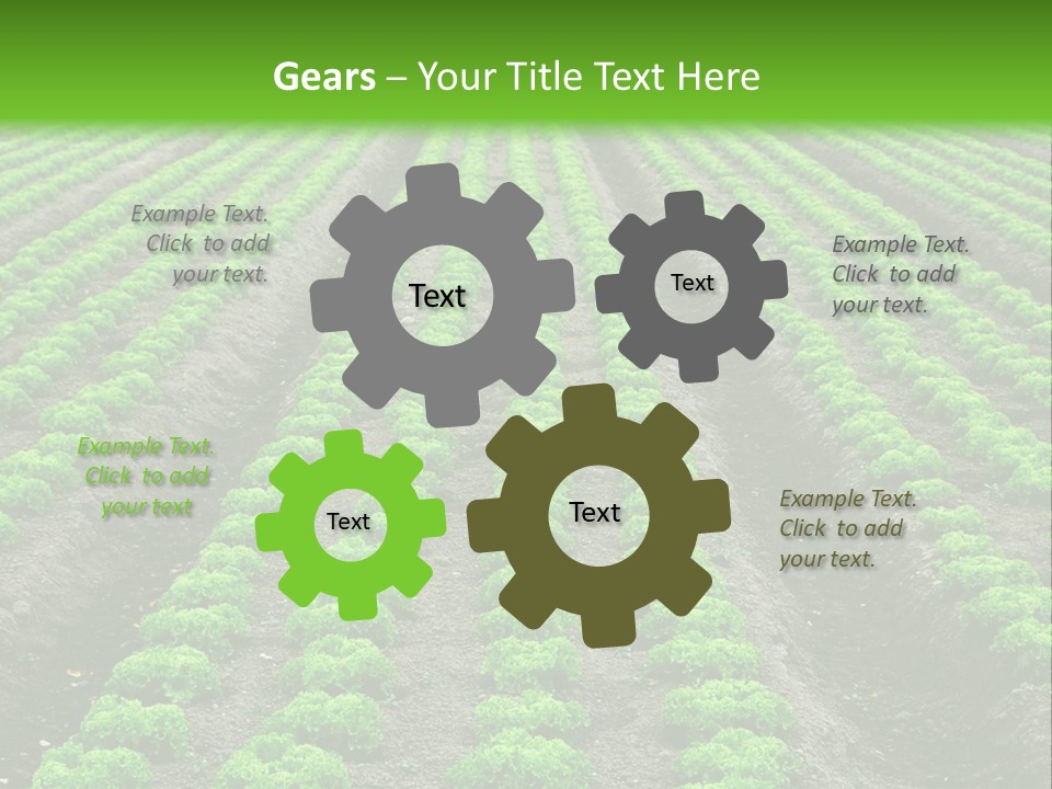 Natural Farming Field PowerPoint Template