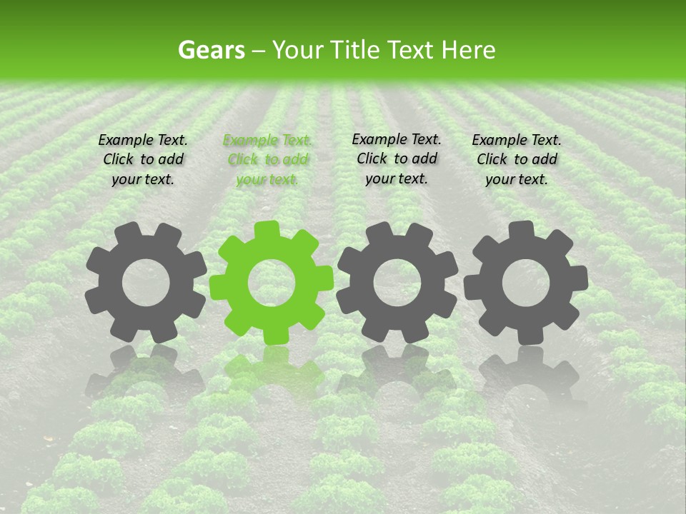 Natural Farming Field PowerPoint Template
