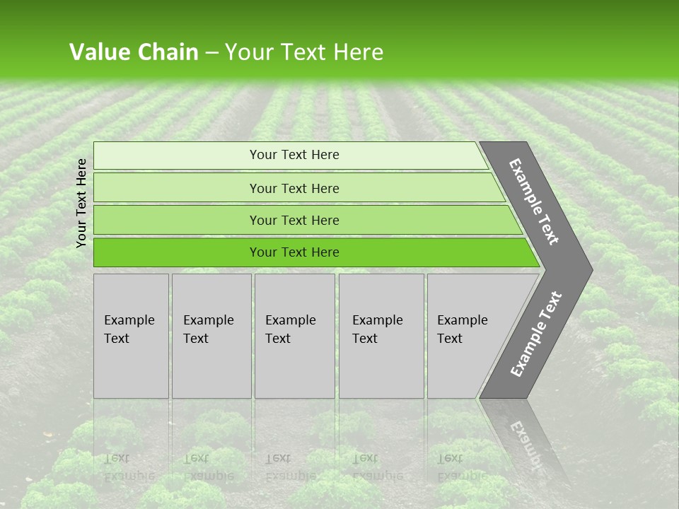 Natural Farming Field PowerPoint Template